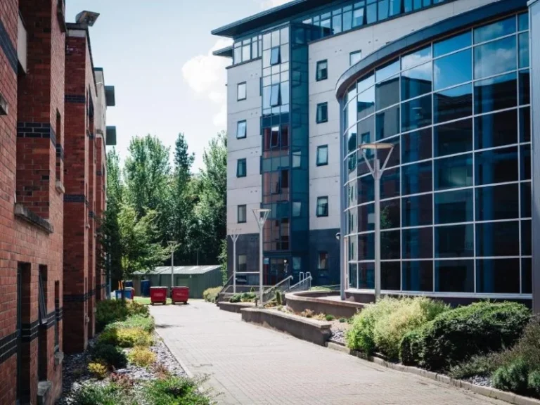 TEA - Viaje a Dublín (2) (Personalizado)