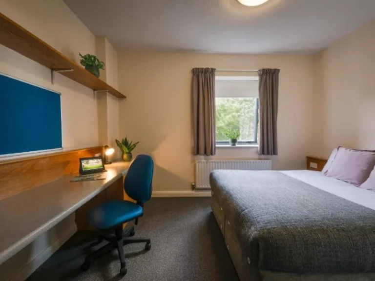 TEA - Viaje a Dublín (3) (Personalizado)